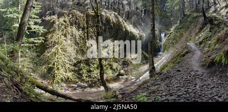 Un sentier accidenté s'étend à côté de Multnomah Creek dans le nord de l'Oregon, qui s'écoule sur plus de 5 kilomètres à travers la forêt tempérée et au-dessus de cascades pittoresques. Banque D'Images