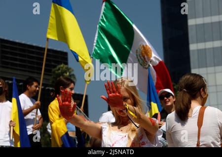 Mexico, Mexico, Mexique. 24th avril 2022. Les citoyens ukrainiens, participent à une grève au Monument de l'Ange de l'indépendance pour exiger l'arrêt de l'invasion et des meurtres dans leur pays, lors des attaques des troupes russes, exigent la condamnation du président russe Vladimir Poutine. Le 24 avril 2022 à Mexico, Mexique. (Credit image: © Luis Barron/eyepix via ZUMA Press Wire) Banque D'Images