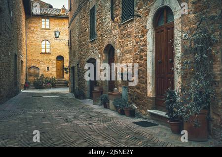 Maisons en pierre toscane rustique et entrées confortables décorées de plantes colorées. Vue fantastique sur la rue en Toscane, en Italie, en Europe Banque D'Images