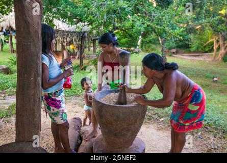 Une femme indienne Embera avec sa famille prépare la récolte de riz avant de cuisiner à Rio Mogue, province de Darien, République du Panama, Amérique centrale Banque D'Images