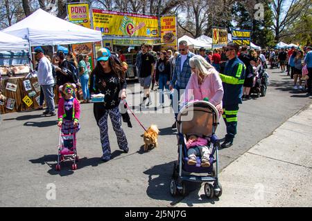 Reno, États-Unis. 24th avril 2022. Une famille marche autour d'un événement du jour de la Terre. Les célébrations du jour de la Terre ont lieu dans un parc public le jour du printemps. (Photo de Ty O'Neil/SOPA Images/Sipa USA) crédit: SIPA USA/Alay Live News Banque D'Images