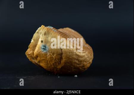 Un morceau de pain moldy sur fond noir. Un morceau de pain de blé rassis. Banque D'Images