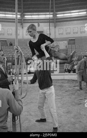 Répétition pour les dix étoiles d'or dans le Ring au Circus Crown Building à Munich. Artistes dans le cirque - Gitte. [traduction automatique] Banque D'Images