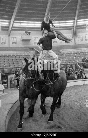 Répétition pour les dix étoiles d'or dans le Ring au Circus Crown Building à Munich. Artistes dans le cirque - Gitte pendant l'acte de cheval. [traduction automatique] Banque D'Images