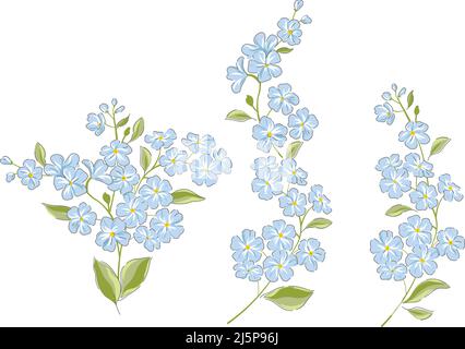 Forget-me-not Spring fleur d'été botanique main dessiné vecteur illustration ensemble isolé sur blanc. Vintage romantique cottage jardin fleuris curiosité cabinet esthétique imprimé. Illustration de Vecteur