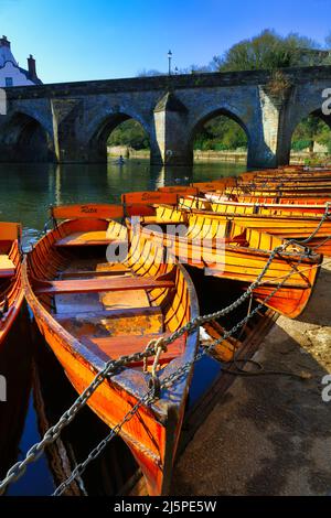 Des bateaux à rames amarrés le long de la rive de la rivière avec Elvet Bridge en arrière-plan. Durham City, comté de Durham, Angleterre, Royaume-Uni. Banque D'Images