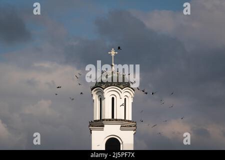 Un troupeau de pigeons survole le clocher de l'église contre des nuages sombres Banque D'Images