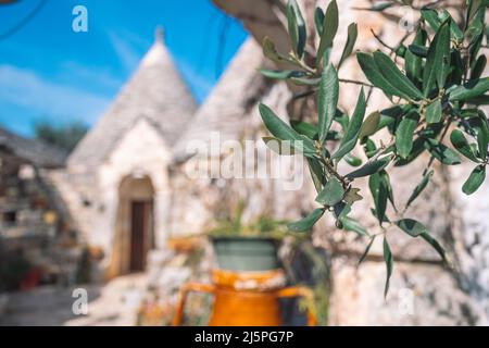 Groupe de belle maison Trulli ou Trullo, cabane traditionnelle en pierre sèche des Pouilles avec un toit conique et de vieux murs en pierre sèche à Puglia, en Italie, avec olive Banque D'Images