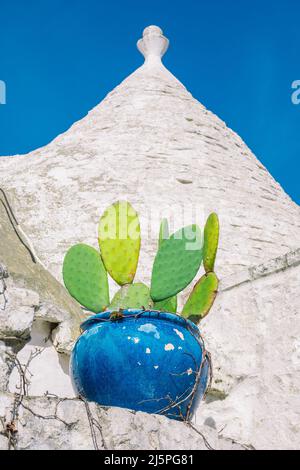 Grand vase ou pot en céramique bleue avec cactus sur le toit de la belle maison Trulli ou Trullo, cabane traditionnelle en pierre sèche des Pouilles avec un toit conique Banque D'Images