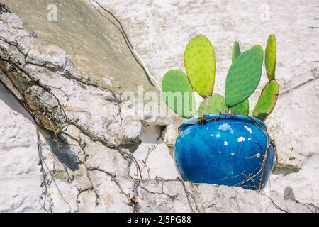 Grand vase ou pot en céramique bleue avec cactus sur le toit de la belle maison Trulli ou Trullo, cabane traditionnelle en pierre sèche des Pouilles avec un toit conique Banque D'Images