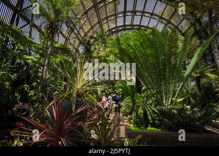 Le Jardin botanique des capacités dans Balboa Park, San Diego Banque D'Images