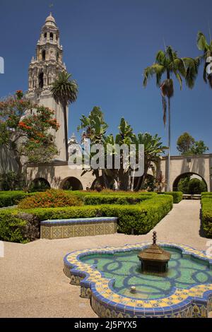 Tour de Californie (musée de l'homme de San Diego et clocher de la chapelle Saint Francis) depuis le jardin de l'Alcazar dans le parc de Balboa Banque D'Images