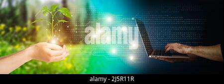 Technologies agricoles pour la culture des plantes et recherche scientifique dans le domaine de la biologie et de la chimie de la nature. Le vert vivant pousse dans les mains d'un agriculteur. Fond numérique organique. Photo de haute qualité Banque D'Images