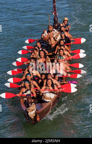 Les guerriers maoris pagayez Waka taua (canoes de guerre) dans les célébrations de la journée de Waitangi à Waitangi diverses traditions Māori recomptent comment leurs ancêtres ont établi fro Banque D'Images