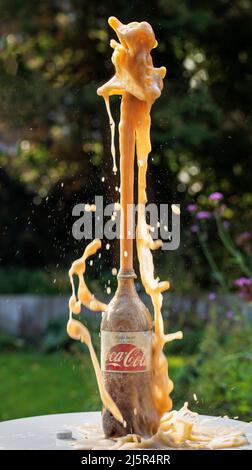 Des éclaboussures de Coca-Cola sortent de la bouteille après que des bonbons Mentos ont été ajoutés au liquide de cola carbonaté. Banque D'Images