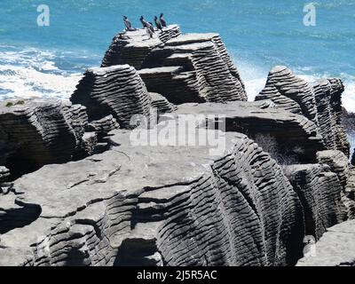 Nouvelle-Zélande, île du sud, côte ouest - Punakaiki - les rochers de Pancake sont une destination touristique très populaire à Dolomite point au sud de la ville de Punak Banque D'Images