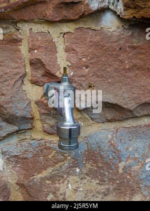 l'ancien robinet d'eau dépasse du mur de grès rustique dans le cadre du système d'irrigation du jardin Banque D'Images