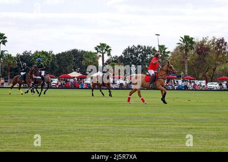 Polo match; rythme rapide; jeu; chevaux; personnes; sport ; mouvement, spectateurs, herbe verte, champ, Ciel nuageux, concours, Floride; Lakewood Ranch; Sarasota; F Banque D'Images