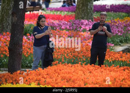 Istanbul, Turquie. 25th avril 2022. Les gens prennent des photos de fleurs dans le parc Gulhane, Istanbul, Turquie, 25 avril 2022. Credit: Shadati/Xinhua/Alamy Live News Banque D'Images