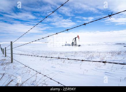 Un cric à pompe à huile qui travaille dans un champ agricole recouvert de neige le long d'une clôture barbelée dans les Prairies canadiennes dans le comté de Rocky View Alberta Canada. Banque D'Images