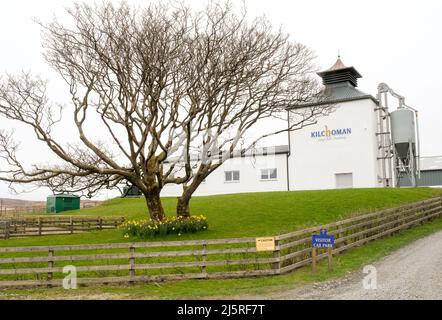 Vue extérieure de la distillerie Kilchoman sur l'île hebridée intérieure d'Islay avec un arbre et des jonquilles au premier plan Banque D'Images