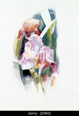 Art de Charles Demuth - Iris pourpre (vers 1920) Banque D'Images