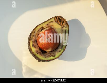 Avocat pourri laid coupé en deux. Fruits mauvais mûrs à la lumière du soleil. Photo de haute qualité Banque D'Images