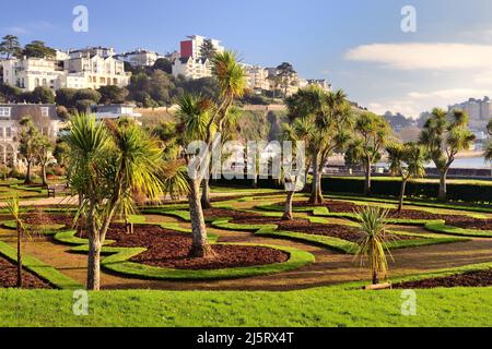 Tôt le matin, soleil d'hiver sur Abbey Park Gardens, Torquay, sans fleurs aux frontières. Banque D'Images