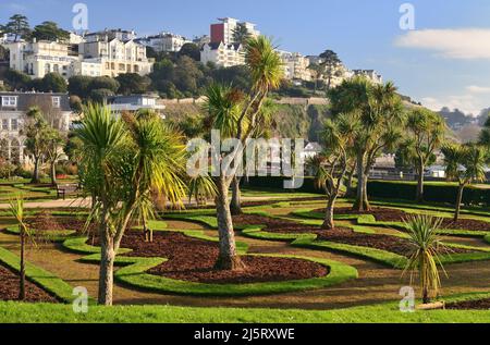 Tôt le matin, soleil d'hiver sur Abbey Park Gardens, Torquay, sans fleurs aux frontières. Banque D'Images