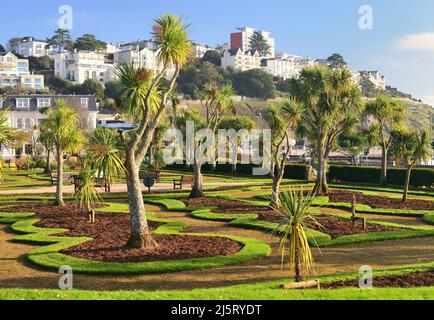 Tôt le matin, soleil d'hiver sur Abbey Park Gardens, Torquay, sans fleurs aux frontières. Banque D'Images