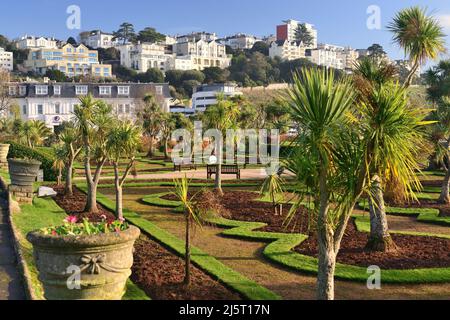 Tôt le matin, soleil d'hiver sur Abbey Park Gardens, Torquay, sans fleurs aux frontières. Banque D'Images