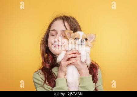 Jeune fille avec un chien de la race Chihuahua sur fond jaune. Fille et chien blanc. Banque D'Images