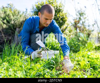 l'homme nettoie la terre de son potager dans la ville avec ses outils et ses vêtements de travail Banque D'Images