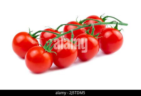 Branche de tomates cerises rouges isolée sur blanc. Huit petites tomates fraîches biologiques sur une tige Banque D'Images