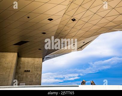 Lyon, France, 27 novembre 2019. Architecture du Musée des Confluences (musée de la confluence). Banque D'Images