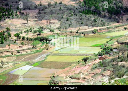 Paysages agricoles autour de la colline d'Ambohimanga, à la périphérie d'Antananarivo, Magagascar. Banque D'Images