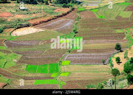 Paysages agricoles autour de la colline d'Ambohimanga, à la périphérie d'Antananarivo, Magagascar. Banque D'Images