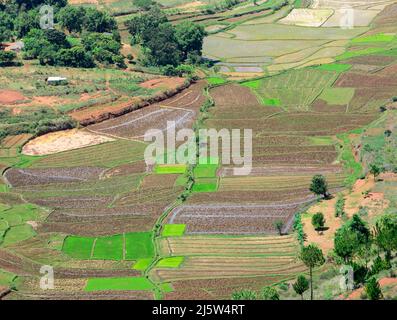 Paysages agricoles autour de la colline d'Ambohimanga, à la périphérie d'Antananarivo, Magagascar. Banque D'Images