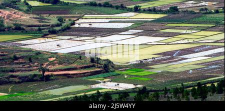 Paysages agricoles autour de la colline d'Ambohimanga, à la périphérie d'Antananarivo, Magagascar. Banque D'Images