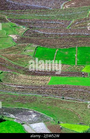 Paysages agricoles autour de la colline d'Ambohimanga, à la périphérie d'Antananarivo, Magagascar. Banque D'Images