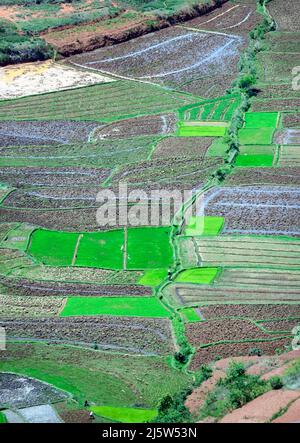 Paysages agricoles autour de la colline d'Ambohimanga, à la périphérie d'Antananarivo, Magagascar. Banque D'Images