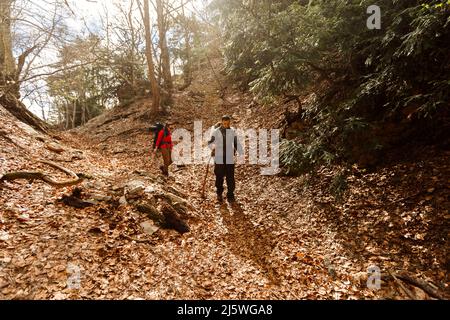 Deux randonneurs marchant dans les montagnes en paysage d'automne. Un couple de touristes descendant la montagne Banque D'Images