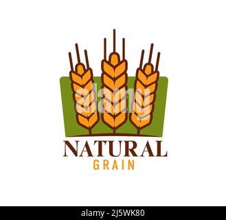 Logo de la ferme de blé avec épis de céréales de riz, d'avoine ou d'orge et de millet, symbole de boulangerie vectoriel. Agriculture et agriculture bio nourriture naturelle icône des épis de blé sur le champ vert, boulangerie produits céréaliers Illustration de Vecteur