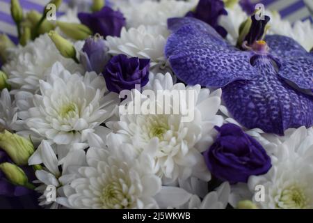 Un magnifique bouquet de chrysanthèmes blancs et de fleurs et roses d'orchidées bleues de Vanda Sansai. Vue de dessus, gros plan. Banque D'Images