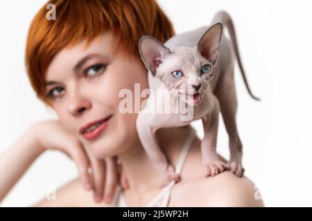 Le chat Sphynx du Canada se tient en position défensive et se méprise sur l'épaule de la jeune femme à tête rouge. Mise au point sélective sur le chaton, faible profondeur de champ Banque D'Images