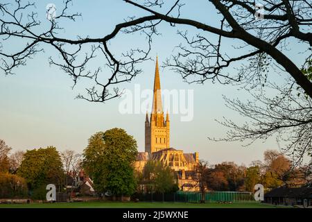 Lever du soleil à la cathédrale de Norwich, Norfolk, Angleterre. Banque D'Images