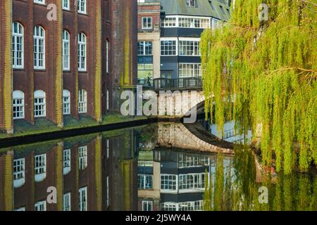 Matin de printemps sur la rivière Wensum à Norwich, Norfolk, Angleterre. Banque D'Images