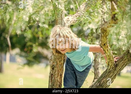 Grimper les arbres est toujours amusant. Arbre de montée enfant de garçon actif. Amusement d'enfance. En été Banque D'Images