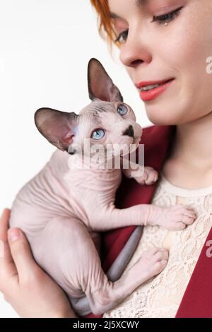 Hipster jeune femme rouge embrassant doucement Sphynx Cat Accent sélectif sur le chaton domestique, faible profondeur de champ. Jolie femme vêtue d'une veste rouge. Banque D'Images
