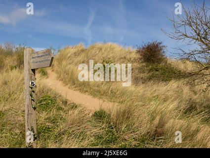 Signe de sentier public au point de dunes de sable de Talacre d'ayr Flintshire parmi l'herbe de maram Banque D'Images